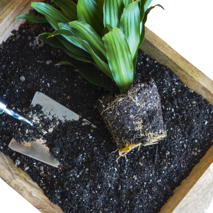 house plant potting soil Indoor Plant Potting Soil - Puck